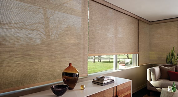 designer-screen-shades-category